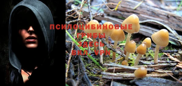 дурь Балабаново