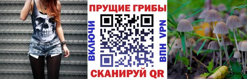 Галлюциногенные грибы Magic Shrooms  Купить где  Свободный 