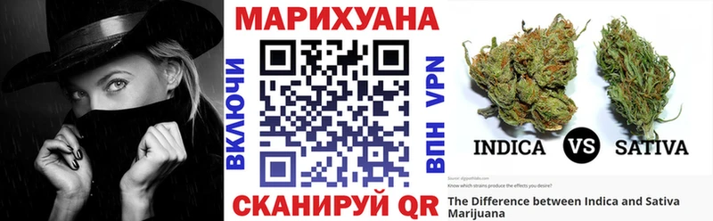 Конопля семена  Купить  Свободный 